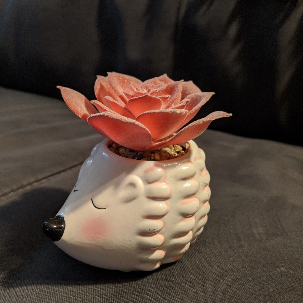 Faux succulent in hedgehog pot
